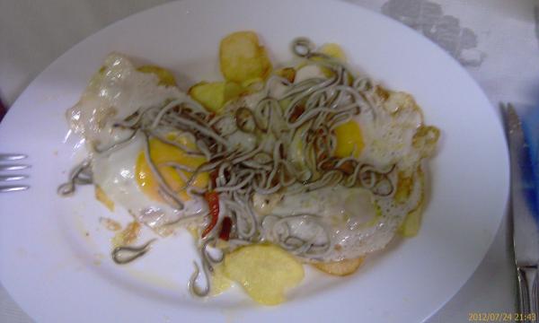 Vinar&ograve;s - El Rinc&oacute;n de Pedro - Gulas